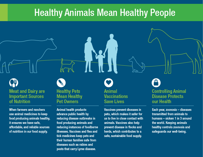 Animal Medicines - ANIMAL HEALTH INSTITUTE