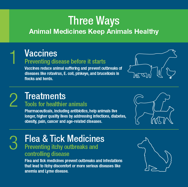 Animal Medicines - ANIMAL HEALTH INSTITUTE