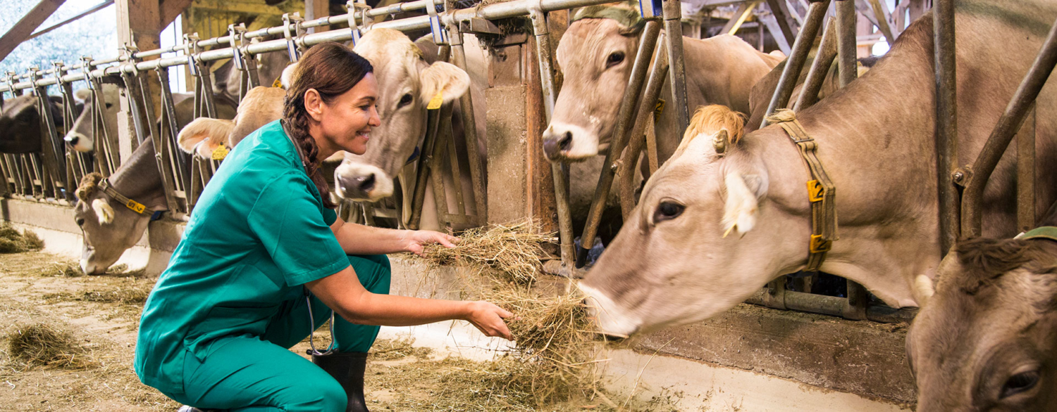 HOME ANIMAL HEALTH INSTITUTE ANIMAL HEALTH INSTITUTE