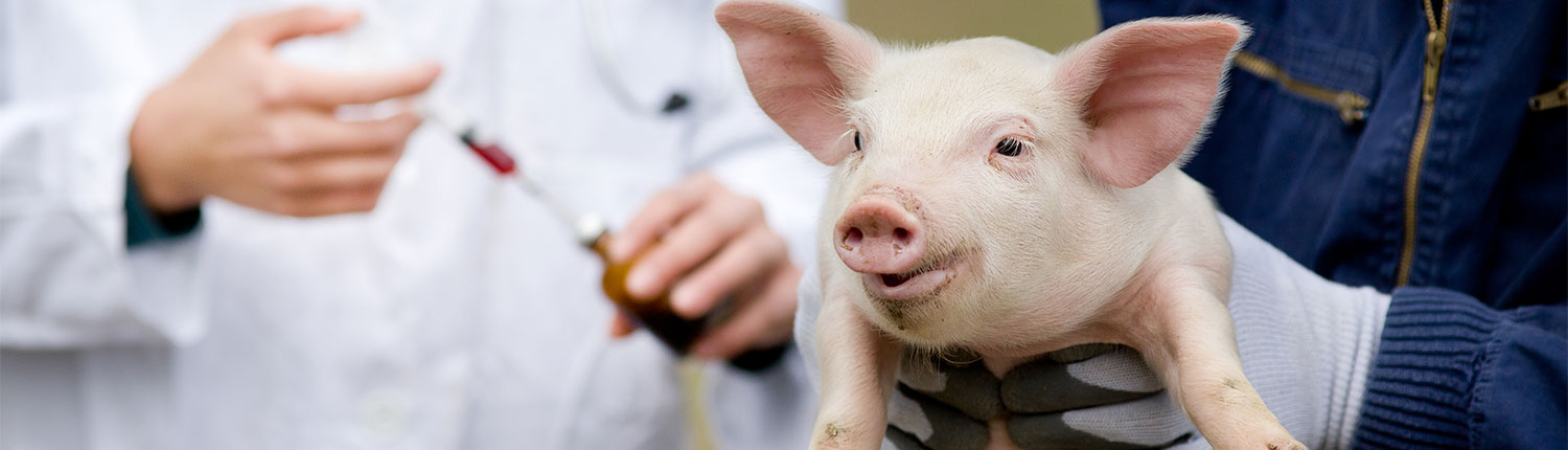 Animal Antibiotics - ANIMAL HEALTH INSTITUTE